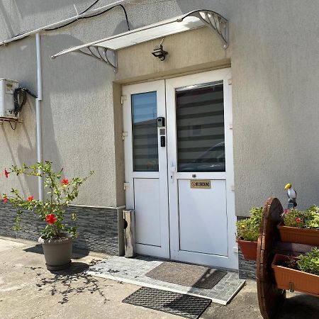 Evergreen Apartment Temeşvar Dış mekan fotoğraf