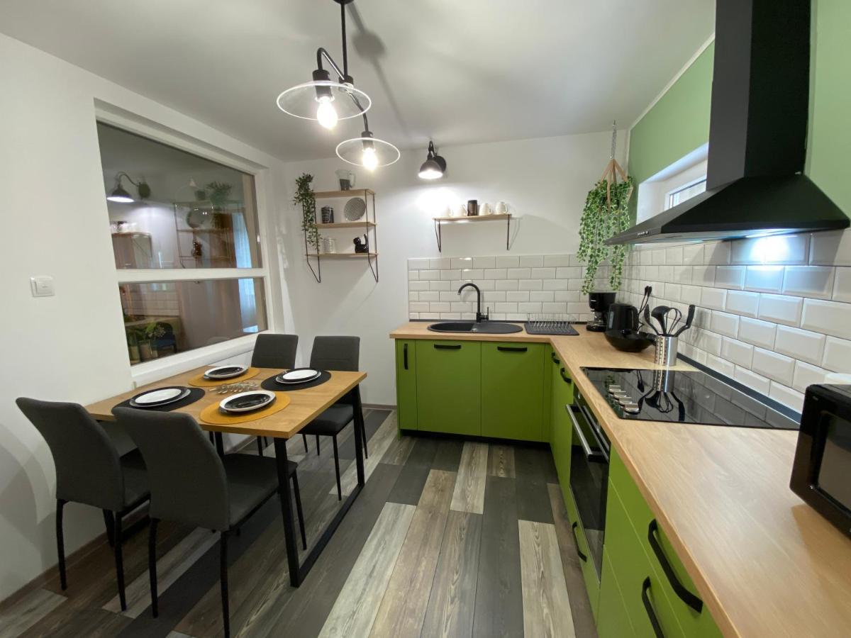 Evergreen Apartment Temeşvar Dış mekan fotoğraf