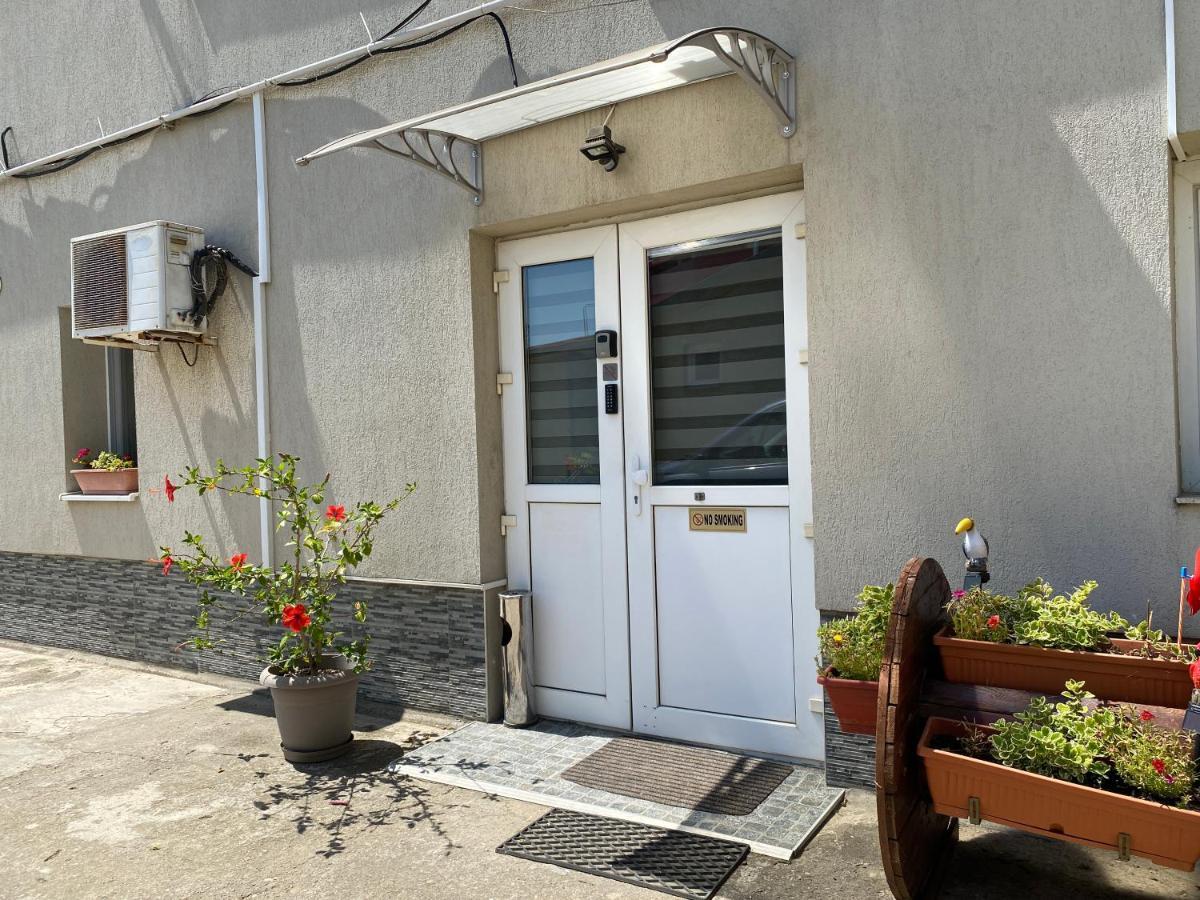Evergreen Apartment Temeşvar Dış mekan fotoğraf